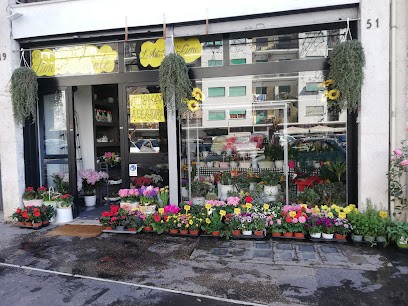 L'arte Dei Fiori, Fiorista a Roma