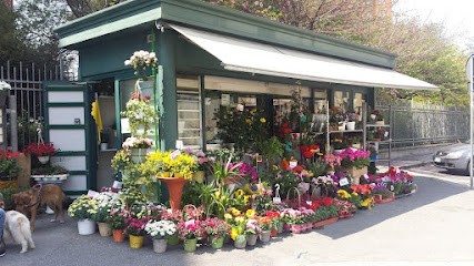 Il Piccolo Giardino Di Tortorici Marco, Fiorista a Genova