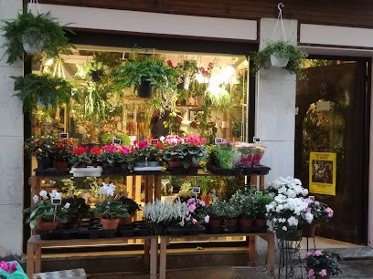 Acquadirose, Fiorista a Venezia