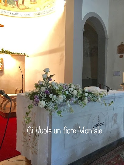 Ci Vuole Un Fiore, Fiorista a Montale