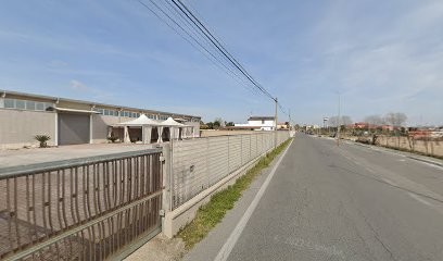 Florimex Roma Srl, Fiorista a Fiumicino