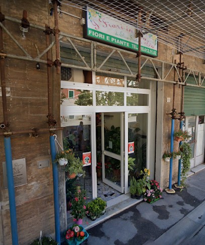 Fiori In Piazza Di Santoro Elisa, Fiorista a Genova