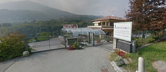 Gilardoni Marco, Fiorista a Dizzasco