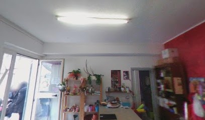 Il Giardino Fatato Campobasso, Fiorista a San Martino in Pensilis