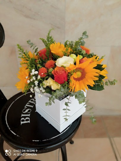 Flowers&more Olbia, Fiorista a Olbia