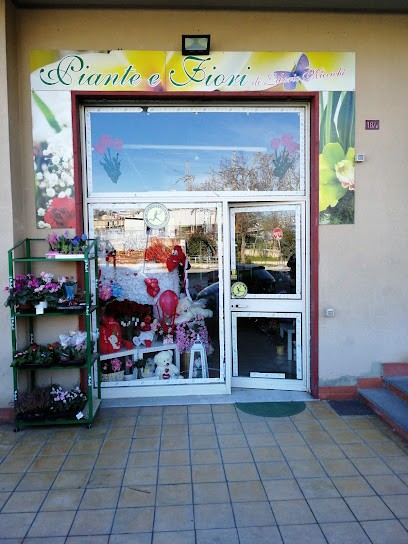 Piante e fiori di micciche' Liborio, Fiorista a Caltanissetta