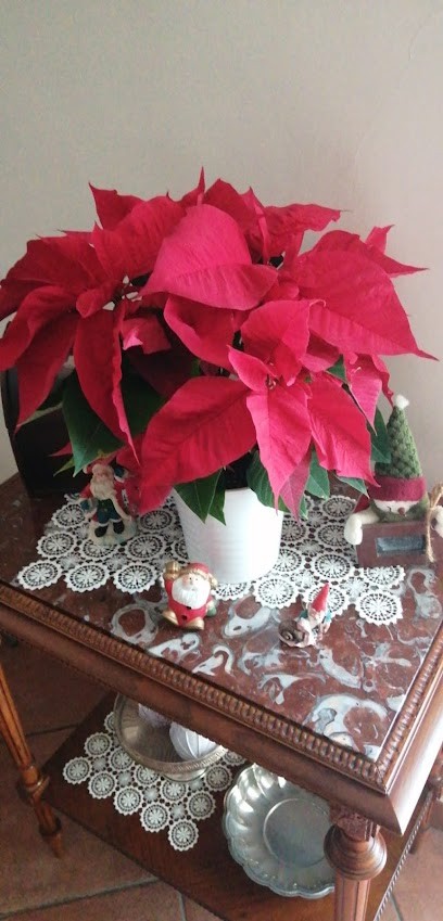 Mary Fiori, Fiorista a Battipaglia