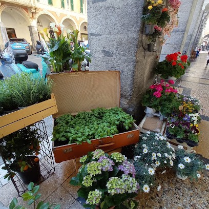 L’Erba Persa Fiori e Piante, Fiorista a Chiavari