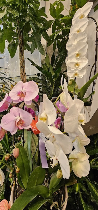 Fiorista Interflora Palermo, Fiorista a Palermo