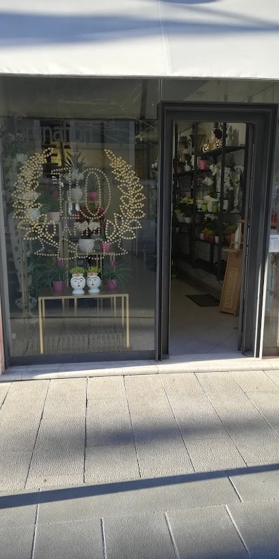 Bruna Fiori di Clara Gatta, Fiorista a Borgosatollo