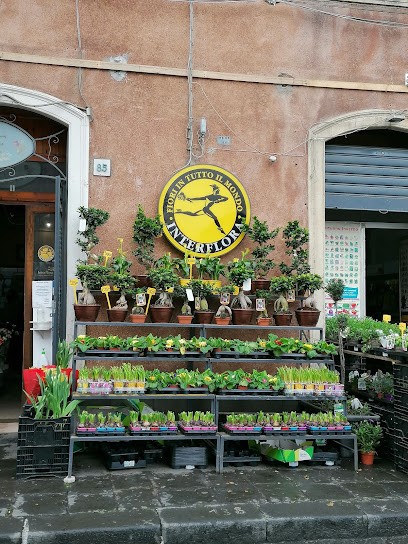 I Fioristi Del Corso, Fiorista a Trecastagni