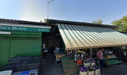 Fiori E Non Solo, Fiorista a Frascati