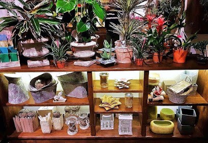 Florarte, Fiorista a Finale Ligure