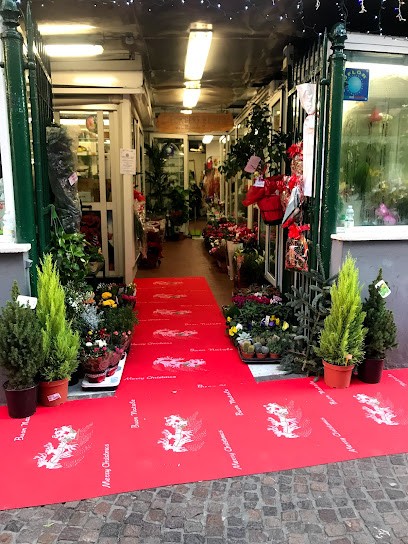Il Portico Fiorito, Fiorista a Genova