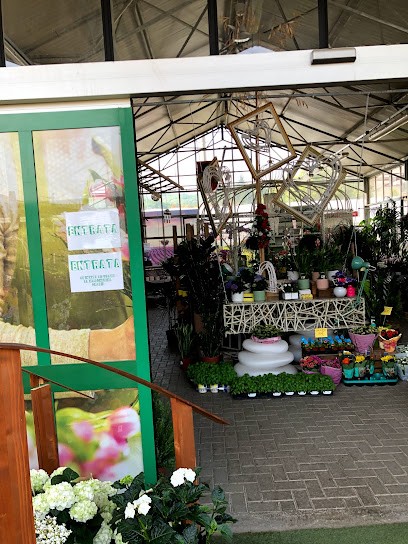 L'Ecosistema Fiori E Piante Di Luca Friscira, Fiorista a Villarbasse