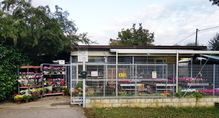 I Fiori Di Sophie, Fiorista a Forlì