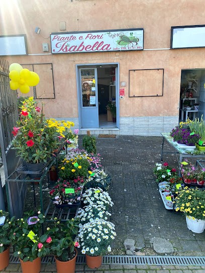 ISABELLA PIANTE E FIORI, Fiorista a Marino