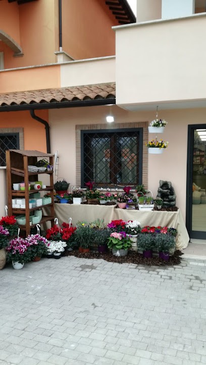 Line Garden di Massimi Barbara, Fiorista a Piglio