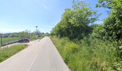 Data Multiservices Di Fiori Patrizia, Fiorista a Magliano di Tenna