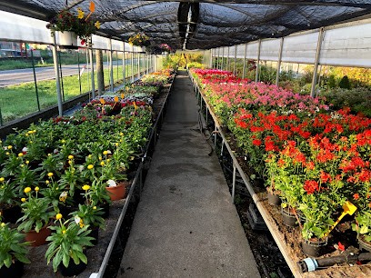 Gandiflor di GANDINI ANDREA, Fiorista a Gemonio