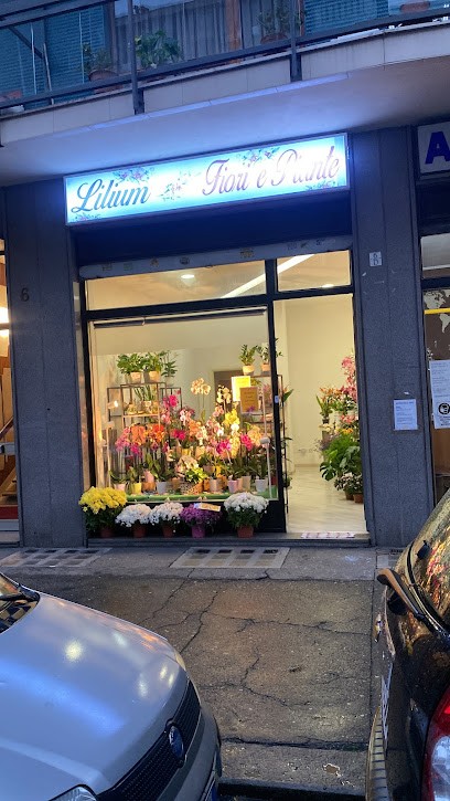 Lilium Fiori E Piante, Fiorista a Torino