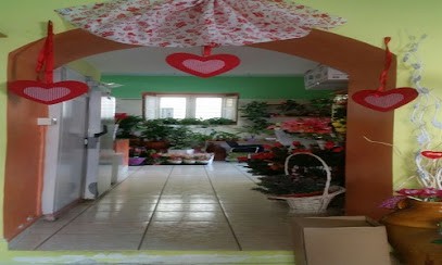 FIORI E PIANTE GNAZZO, Fiorista a Felitto