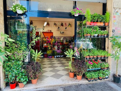 Fiori Di Sandro - Via Marcotti, Fiorista a Roma