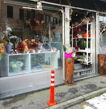Fioreria La Rosa Blu Di Ardizzoia Maria Paola, Fiorista a Varallo Pombia