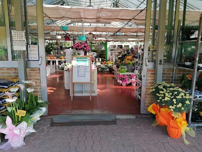 Angolo Verde S.N.C. di Fiocco Vanessa & C., Fiorista a Negrar