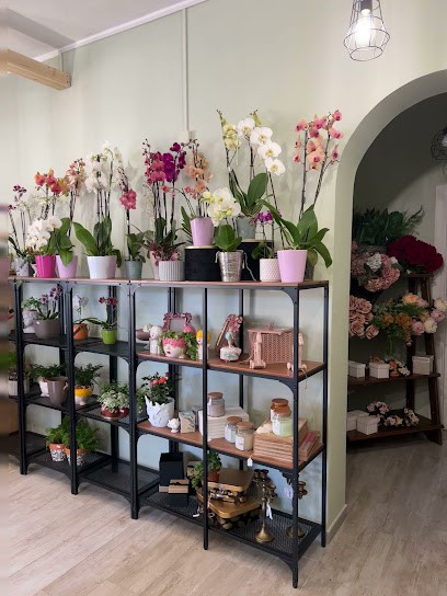 Francesca Dimitri Flower Design, Fiorista a Taranto