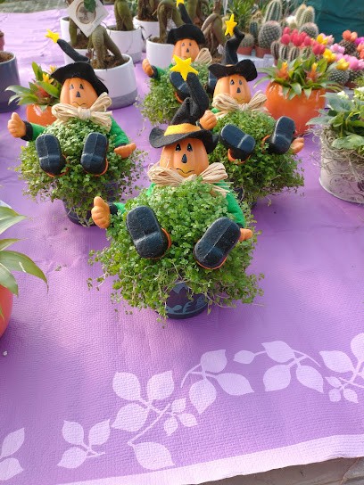 Azienda Agricola Hortus, Fiorista a Cividale del Friuli