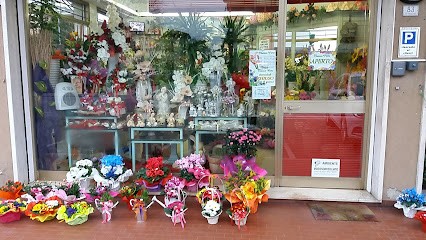 Fioreria Tiziana Fiori Di Lazzaro Tiziana, Fiorista a Maserà di Padova