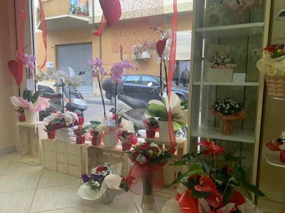 Fiori Da Maria - Maria's Flowers, Fiorista a Follonica