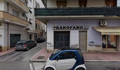 Garofano Piante E Fiori, Fiorista a Grottammare