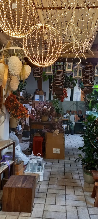 Il Giardino Fiorito Di Pallotti Angela & C. Snc, Fiorista a San Giovanni in Persiceto