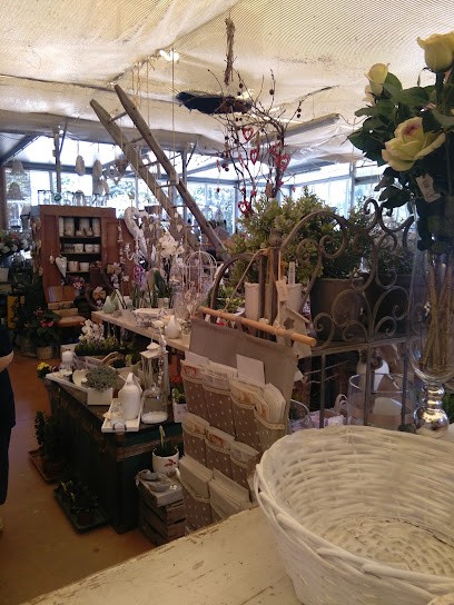 Floricoltura Nicoletta, Fiorista a Caerano di San Marco