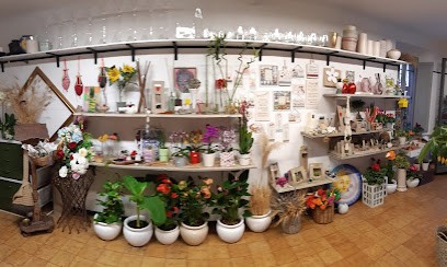 Il Girasole Di Gessica, Fiorista a Sant'Elpidio a Mare