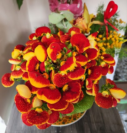 Addobbi Floreali, Fiorista a Taranto