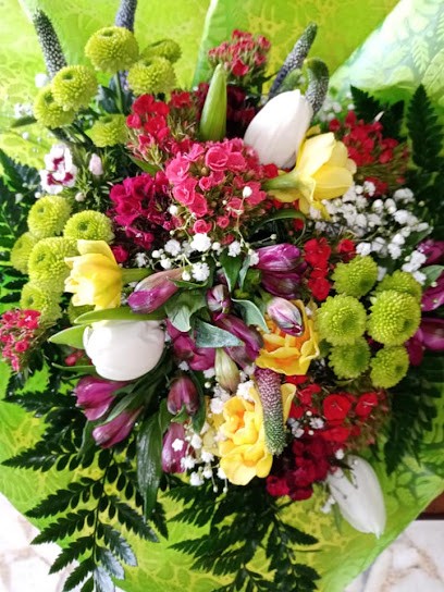 Angolo Verde Piante Fiori e Design, Fiorista a Rionero in Vulture