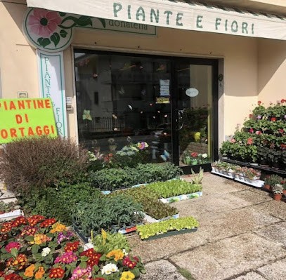 Piante E Fiori Di Guiducci Donatella, Fiorista a Ostra Vetere