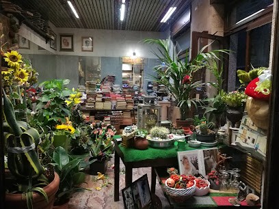 Sette Fiori Di Sergio, Fiorista a Torino