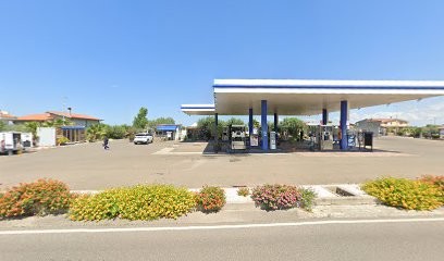 Triflor Srl, Fiorista a Marrubiu