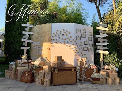 Fiore di Magenta SRLS, Fiorista a Ceccano