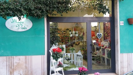 MAGIA VERDE Di Giada Di Felice PIANTE, FIORI, WEDDING & BALLON ART, Fiorista a Giulianova
