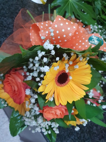 OASI Piante E Fiori Servizio Interflora Di Paolini Liliana, Fiorista a Sulmona