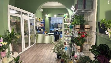 Evergreen Garden Center, Fiorista a Genova