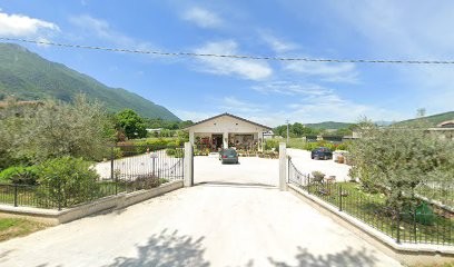 L' Orchidea Piante E Fiori, Fiorista a Morolo