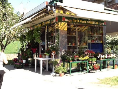 Passi Antonella, Fiorista a Monterotondo