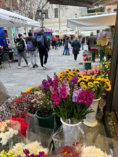 Fiorimania, Fiorista a Sanremo