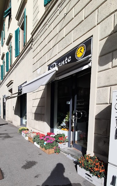 Fiori E Piante Romano Di Alberto E Romano Sestini, Fiorista a Firenze